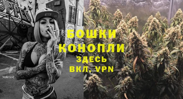 тгк Белокуриха