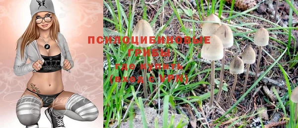тгк Белокуриха